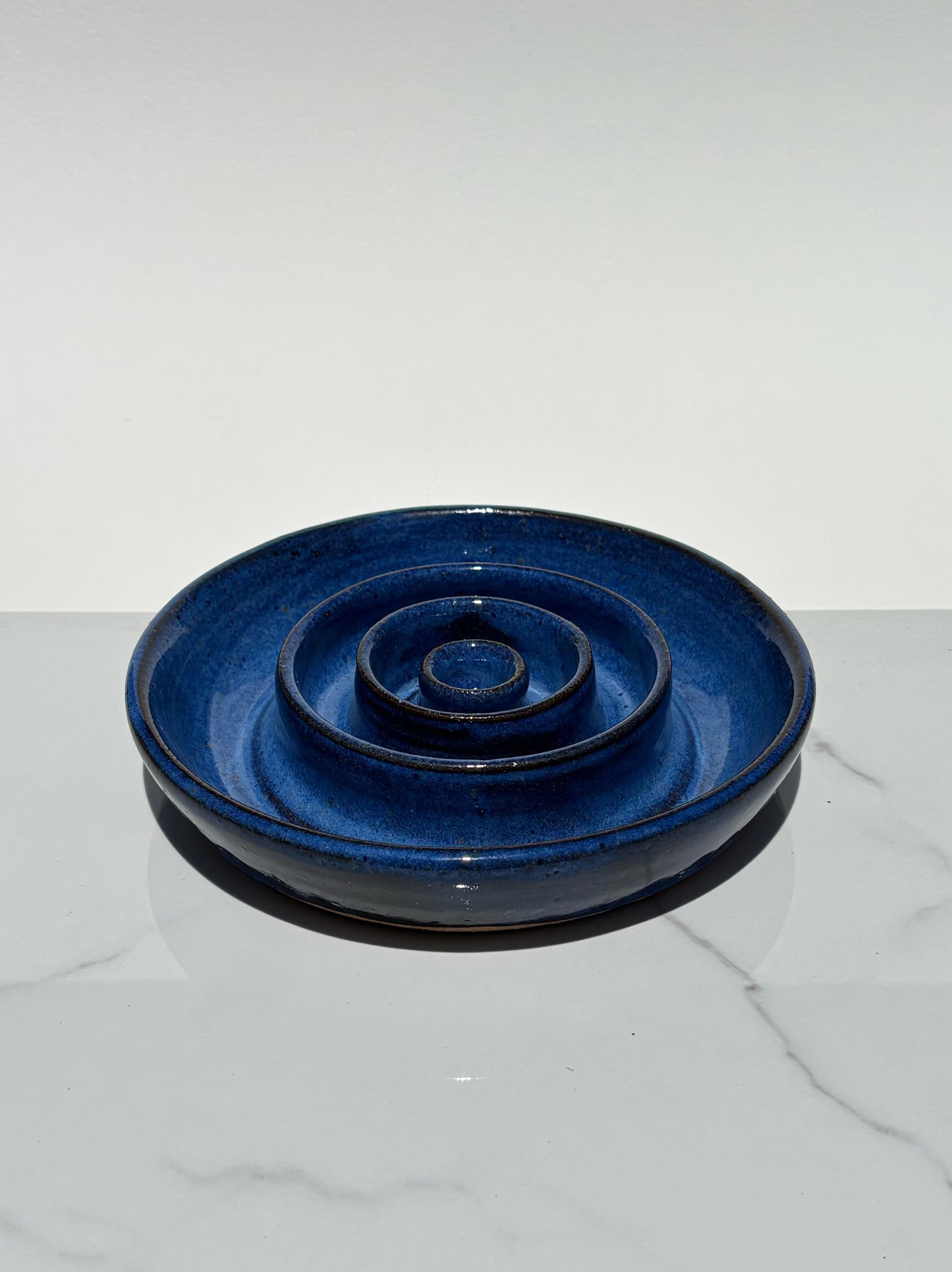 Slow Feeder Pet Bowl