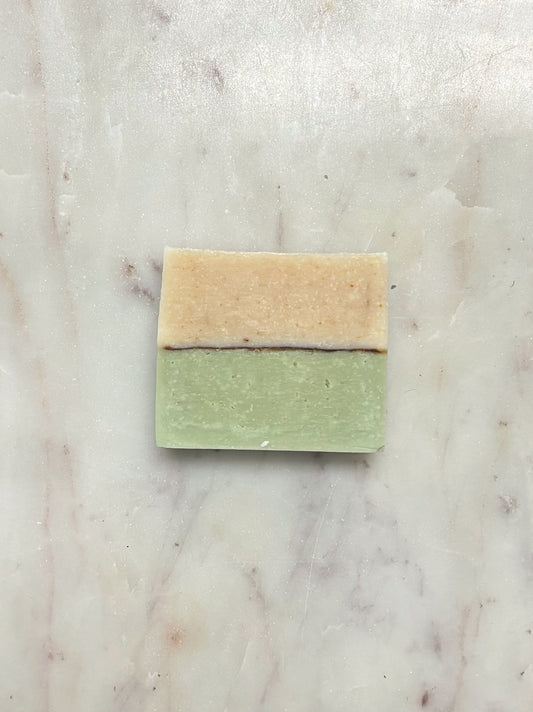 Pine & Grapefruit Body Bar