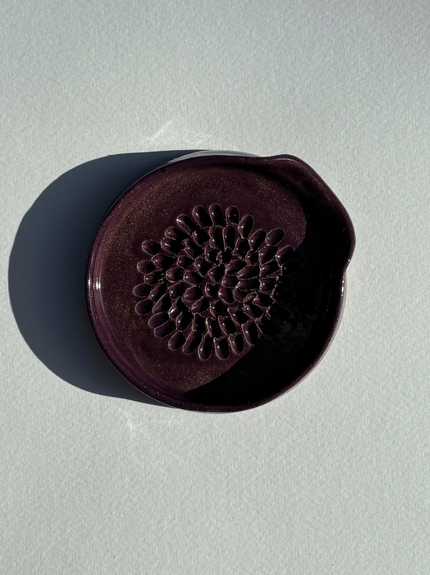 Garlic Grater/Spoon Rest